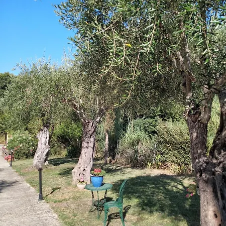 Nino Vila Kothonikion