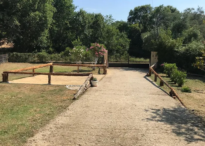 Nino Vilă Kothonikion