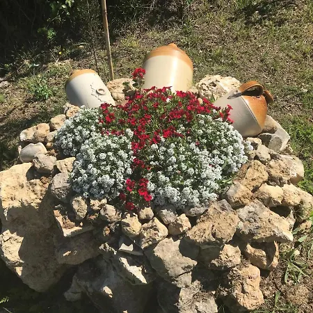 Vilă Nino *