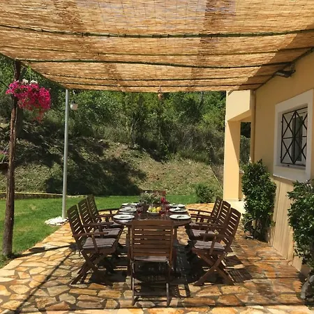 Vilă Nino *